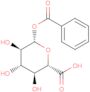 benzoyl glucuronide