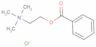 Ethanaminium, 2-(benzoyloxy)-N,N,N-trimethyl-, chloride (1:1)