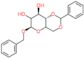 (6R,8R,8aS)-6-benzyloxy-2-phenyl-4,4a,6,7,8,8a-hexahydropyrano[3,2-d][1,3]dioxine-7,8-diol