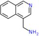 1-(isoquinolin-4-yl)methanamine