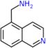 1-(isoquinolin-5-yl)methanamine