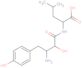 N-[(2S,3R)-3-amino-2-hydroxy-4-(4-hydroxyphenyl)butanoyl]-L-leucine