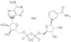 B-nicotinamide adenine dinucleotide*sodium approx