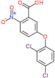 5-(2,4-dichlorophenoxy)-2-nitrobenzoic acid