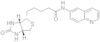 biotin 6-amidoquinoline