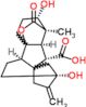 (1R,2S,4bR,7R,10S,10aR)-2,7-dihydroxy-1-methyl-8-methylidene-13-oxododecahydro-4a,1-(epoxymethano)-7,9a-methanobenzo[a]azulene-10-carboxylic acid