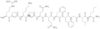 (nle11)-substance P