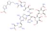 Bleomycinic acid