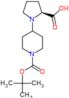 1-[1-(tert-butoxycarbonyl)pipéridin-4-yl]-L-proline