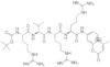 N-T-boc-arg-val-arg-arg 7-amido-4-*methylcoumarin