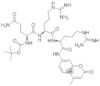 N-T-boc-gln-arg-arg 7-amido-4-*methylcoumarin ace