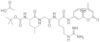 N-T-boc-leu-gly-arg 7-amido-4-*methylcoumarin ace