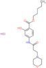 pentyl 2-hydroxy-4-{[3-(morpholin-4-yl)propanoyl]amino}benzoate hydrochloride (1:1)