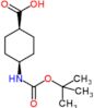 cis-4-[(tert-butoxycarbonyl)amino]cyclohexanecarboxylic acid