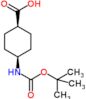 cis-4-(tert-Butoxycarbonylamino)cyclohexanecarboxylic acid