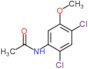 N-(2,4-dichloro-5-methoxyphenyl)acetamide