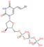 5-[(E)-2-bromoethenyl]-2'-deoxyuridine 5'-(tetrahydrogen triphosphate)