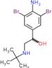 1-(4-amino-3,5-dibromophenyl)-2-(tert-butylamino)ethanol