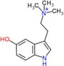 2-(5-hydroxy-1H-indol-3-yl)-N,N,N-trimethylethanaminium