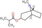 (1R,5S)-8-methyl-8-azabicyclo[3.2.1]oct-3-yl 2-methylpropanoate