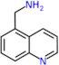 1-(quinolin-5-yl)methanamine
