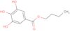butyl 3,4,5-trihydroxybenzoate