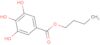 Butyl gallate