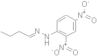 butyraldehyde 2,4-dinitrophenylhydrazone