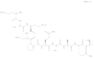 Proinsulin C-peptide II(rat) (9CI)