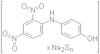 polysulfurised 4-[(2,4-dinitrophenyl)amino]phenol