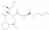 L-trans-Epoxysuccinyl-Ile-Pro-OH propylamide