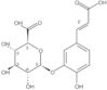 5-[(1E)-2-Carboxyethenyl]-2-hydroxyphenyl β-D-glucopyranosiduronic acid