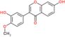 7-hydroxy-3-(3-hydroxy-4-methoxyphenyl)-4H-chromen-4-one