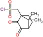 (7,7-dimethyl-2,3-dioxobicyclo[2.2.1]hept-1-yl)methanesulfonyl chloride