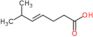 (4E)-6-methylhept-4-enoic acid