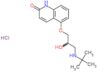 5-[3-(tert-butylamino)-2-hydroxypropoxy]quinolin-2(1H)-one hydrochloride