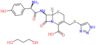 (6R,7R)-7-[[(2R)-2-amino-2-(4-hydroxyphenyl)acetyl]amino]-8-oxo-3-(1H-triazol-4-ylsulfanylmethyl...