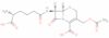 Cephalosporin C