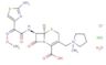 Cefepime dihydrochloride monohydrate