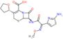 Cefovecin