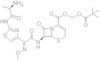 Ceftizoxime alapivoxil