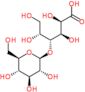 4-O-beta-D-glucopyranosyl-D-gluconic acid