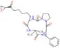 (3S,9S,14aR)-9-benzyl-6,6-dimethyl-3-{6-[(2S)-oxiran-2-yl]-6-oxohexyl}decahydropyrrolo[1,2-a][1,4,…