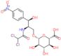 (2R,3R)-2-[(dichloroacetyl)amino]-3-hydroxy-3-(4-nitrophenyl)propyl beta-D-glucopyranosiduronic acid