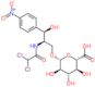 Chloramphenicol 3-glucuronide