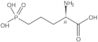 (-)-2-Amino-5-phosphonovaleric acid