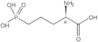 (2R)-2-ammonio-5-phosphonatopentanoate