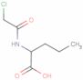 N-(chloroacetyl)-DL-norvaline