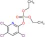 Chlorpyrifos oxon