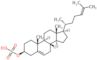 (3beta)-cholesta-5,24-dien-3-yl hydrogen sulfate